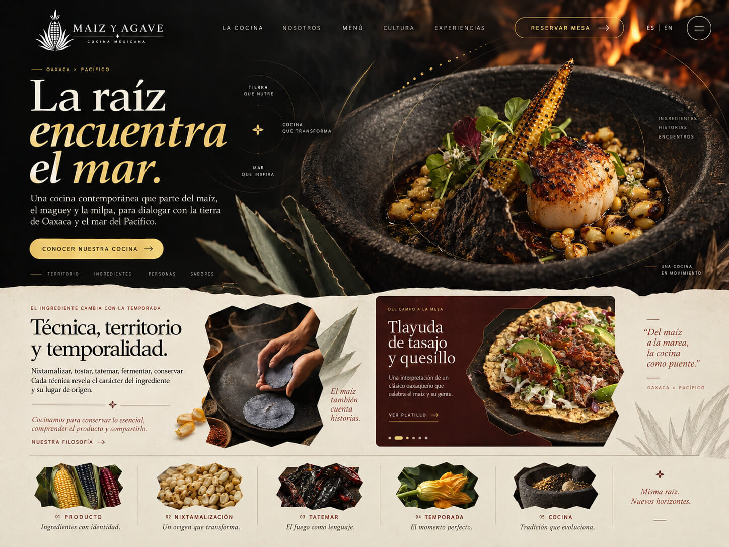 Maguey y Maíz